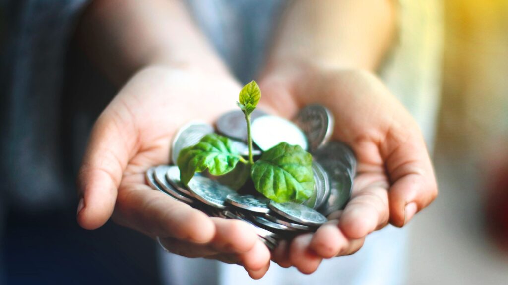 Metáfora de protección financiera con planta creciendo sobre monedas.