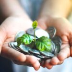 Metáfora de protección financiera con planta creciendo sobre monedas.